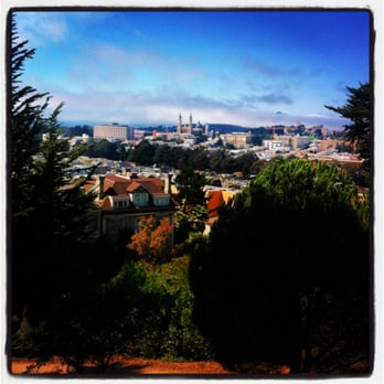 Buena Vista Park - View of St. Ignatius Church and environs - Parks Near Me - San Francisco, California Buena Vista Park - View of St. Ignatius Church and environs - Parks Near Me - San Francisco, California