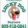 Seacoast Lucky Dog Daycare
