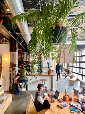 KLVN Coffee Lab by null