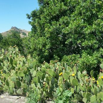 Paradise Falls - Hiking Near Me - Thousand Oaks, California