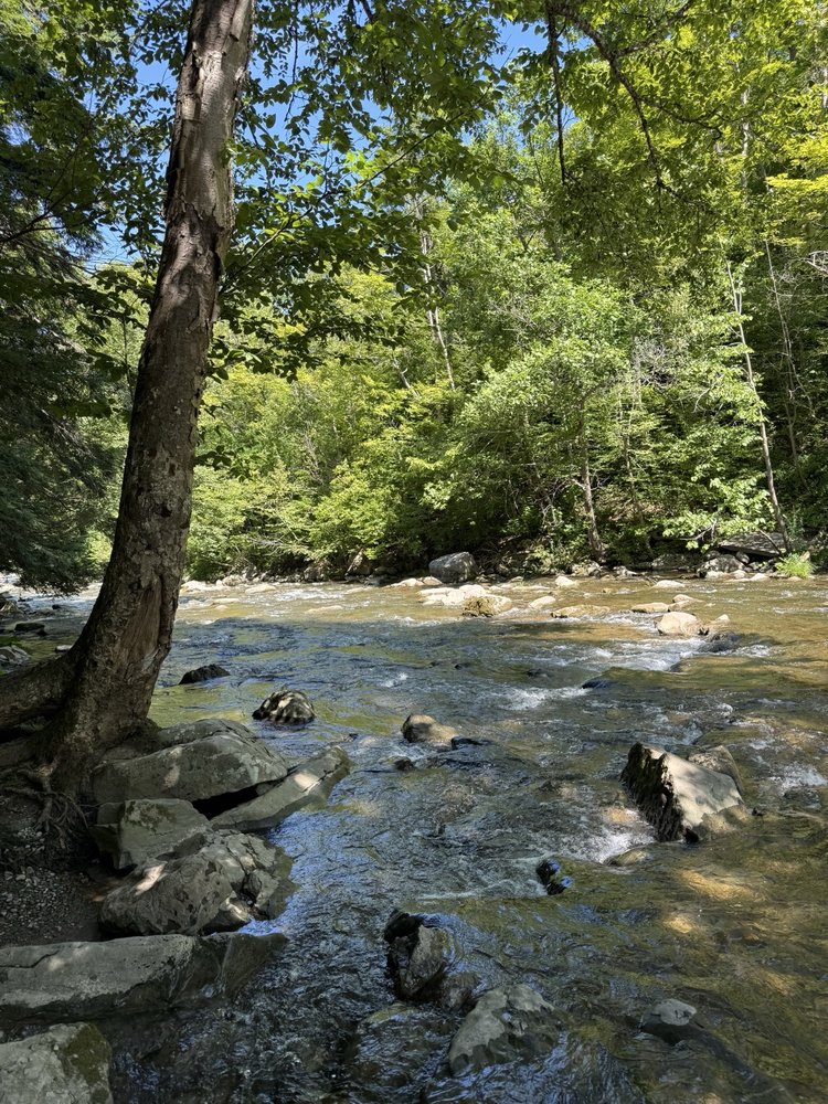 Chittenango Falls State Park Logo