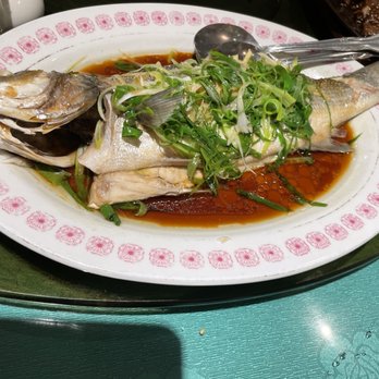 Kirin Restaurant - Sea bass - Seafood Near Me - Honolulu, Hawaii Kirin Restaurant - Sea bass - Seafood Near Me - Honolulu, Hawaii