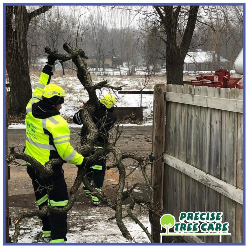 Precise Tree Care - tree service in Frankfort, IL