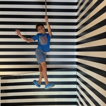 Paradox Museum - Museums Near Me - Miami, Florida Paradox Museum - Museums Near Me - Miami, Florida