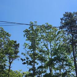 Comcast Service Center - Hope we don't get electrocuted!