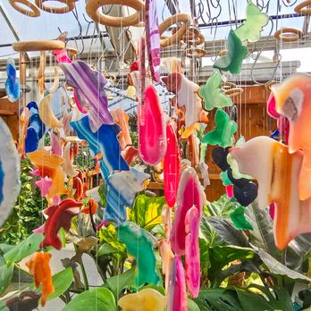 Groovy Plants Ranch - Nurseries & Gardening Near Me - Marengo, Ohio