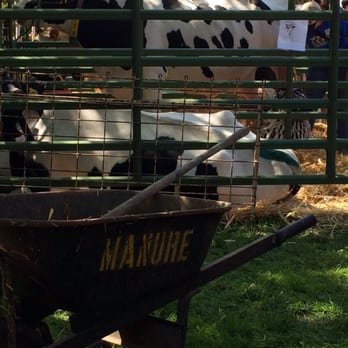UC Davis Picnic Day - Festivals Near Me - Davis, California