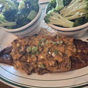 The Native Bar and Grill - Red fish with mushrooms. 2 sides of broccoli. Husband was very excited for this dish. He loved it. :) - Wine Bars Near Me - Titusville, Florida The Native Bar and Grill - Red fish with mushrooms. 2 sides of broccoli. Husband was very excited for this dish. He loved it. :) - Wine Bars Near Me - Titusville, Florida