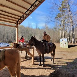 Blue Ridge Mountain Trail Rides