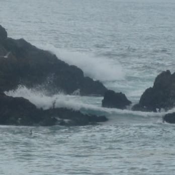 Bird Rock - Beaches Near Me - Pebble Beach, California