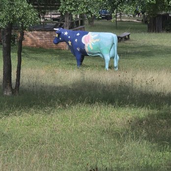 Barons CreekSide - One of many painted cow statues on property - Guest Houses Near Me - Fredericksburg, Texas Barons CreekSide - One of many painted cow statues on property - Guest Houses Near Me - Fredericksburg, Texas