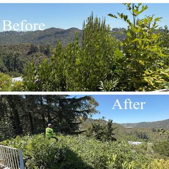MP Landscaping services - Landscaping Near Me MP Landscaping services - Landscaping Near Me