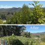 Photo of MP Landscaping services 
