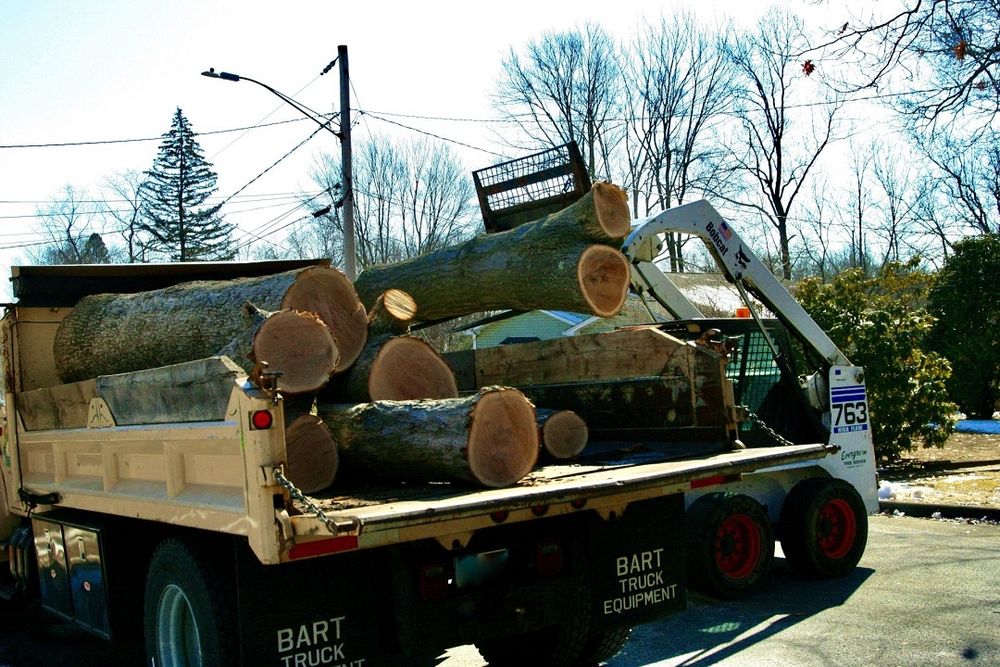 Evergreen Tree Service - tree service in Windsor Locks, CT