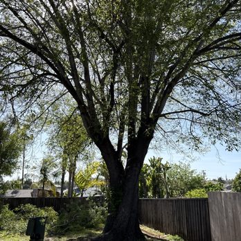 Active Landscape And Tree Service - Tree Services Near Me Active Landscape And Tree Service - Tree Services Near Me