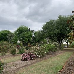 The Rose Gardens of Farmers Branch