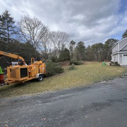 Tree Guys - Safety issue we can help