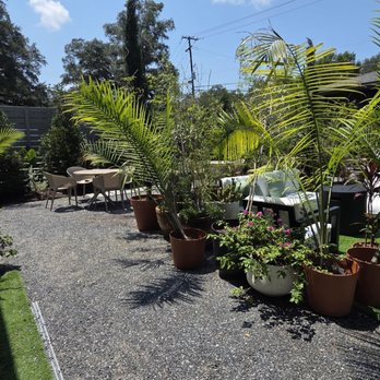 Seene House - Coffee & Tea Near Me - Summerville, South Carolina