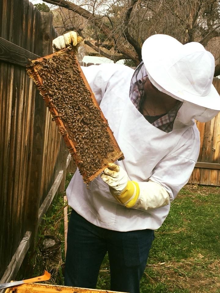TC's Apiaries - beekeeping in Boise, ID