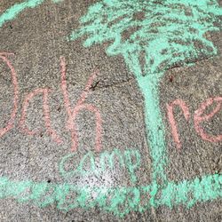 Oak Tree Camps