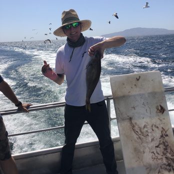 Channel Islands Sportfishing - A decent sized Ocean Whitefish. - Fishing Near Me - Oxnard, California Channel Islands Sportfishing - A decent sized Ocean Whitefish. - Fishing Near Me - Oxnard, California