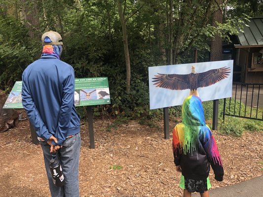 Northwest Trek Wildlife Park by null