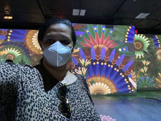 National Geographic Museum of Exploration by null