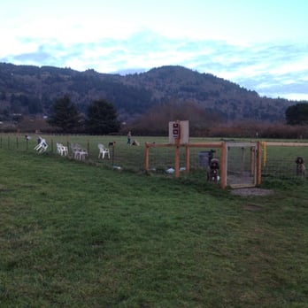 McVay Rock State Recreation Site - Pet exercise area - Dog Parks Near Me - Brookings, Oregon