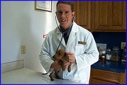Arrow Springs Animal Hospital - pet boarding facility in Broken Arrow, OK