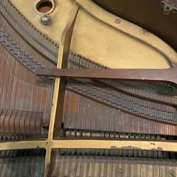 Well-Loved Piano - Interior of piano after Well-Loved Piano "Cleaning"