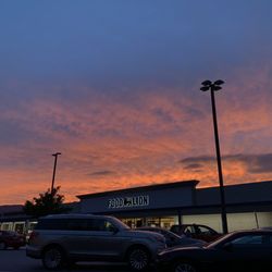 Food Lion - Food lion