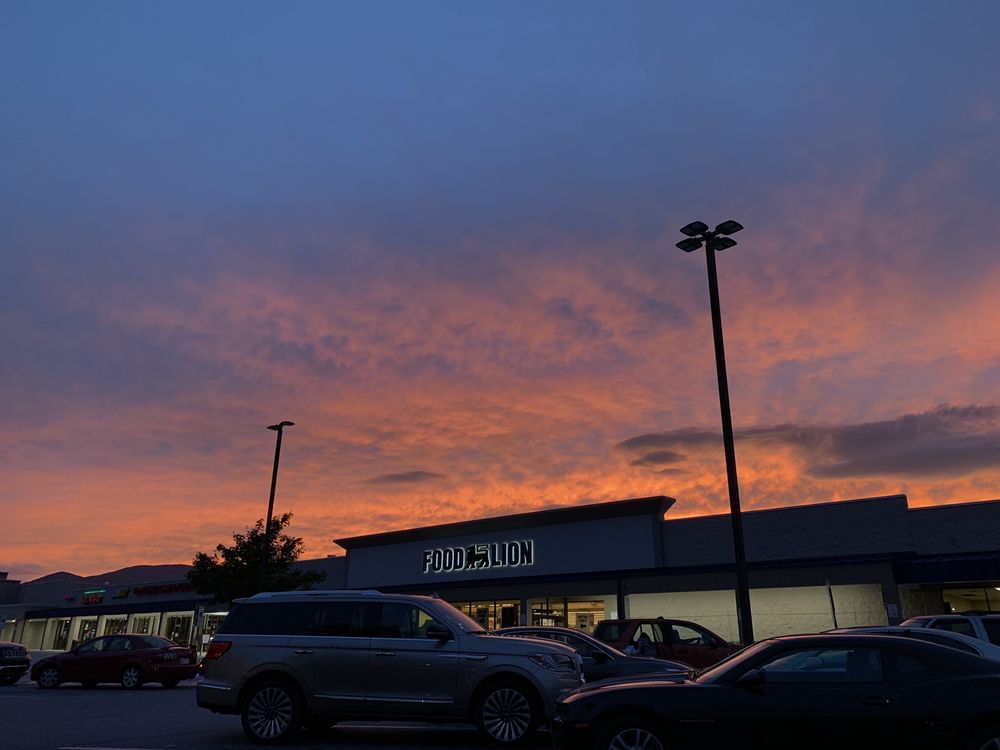 Food Lion Logo