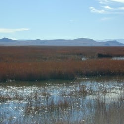 Stillwater National Wildlife Refuge