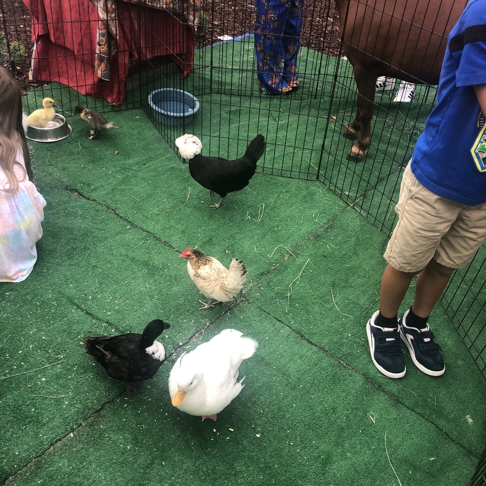 Cindy Lu's Petting Zoo - Petting Zoos Near Me Cindy Lu's Petting Zoo - Petting Zoos Near Me