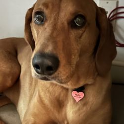 On The Spot - Sweet Ruby! We love her!!