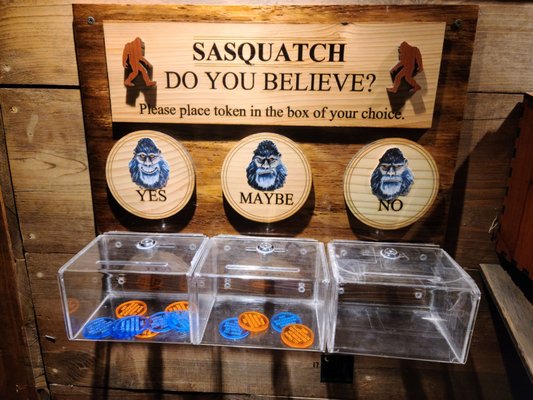 Sasquatch Outpost by null