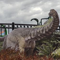 Tattan Park