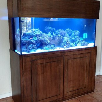 Brians Aquariums - Custom 145 Starfire glass - Aquarium Services Near Me Brians Aquariums - Custom 145 Starfire glass - Aquarium Services Near Me