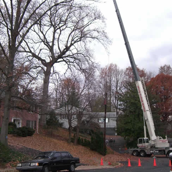 Tree60 - Contact Us for a Free Estimate! https://www.tree60.com/form__map - Tree Services Near Me