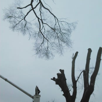 Jacob's Professional Tree & Shrub Care - Tree Services Near Me - Bethlehem, Pennsylvania Jacob's Professional Tree & Shrub Care - Tree Services Near Me - Bethlehem, Pennsylvania