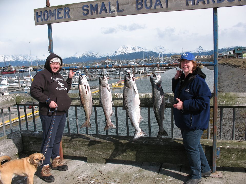 VICKEY J HODNIK, DDS HOMER DENTAL CENTER 4014 Lake St, Homer, AK Yelp