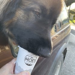 Moe's Espresso - Another pup cup scarfed down from Moe's espresso in Arlington Washington. Yummy coffee drinks and friendly service.