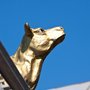 Photo of Gouden Kalf