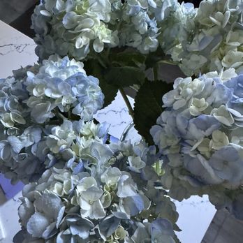Safeway - Blue hydrangeas - Grocery Near Me - Oxon Hill, Maryland Safeway - Blue hydrangeas - Grocery Near Me - Oxon Hill, Maryland