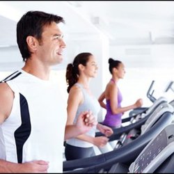 Ortho Sports Physical Therapy