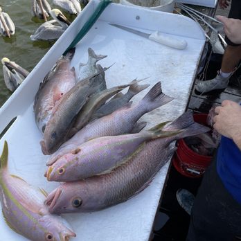 Pure Florida - Boat Charters Near Me - Naples, Florida Pure Florida - Boat Charters Near Me - Naples, Florida