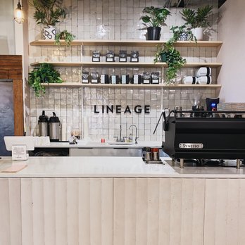 Lineage Coffee Roasting - Updated coffee counter inside East End Market - Coffee & Tea Near Me - Orlando, Florida Lineage Coffee Roasting - Updated coffee counter inside East End Market - Coffee & Tea Near Me - Orlando, Florida