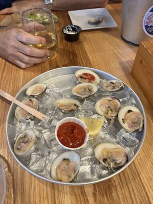 Ship Bottom Shellfish by null