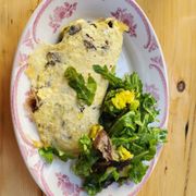 Photo of Little Owl - New York, NY, United States. Mushroom Omelette