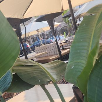 SANDBAR COCINA Y TEQUILA Updated February 2025 978 Photos 617